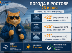 Погода в Ростове-на-Дону 26 июля: жара сменится дождем