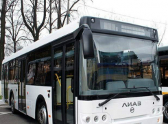 Молодые рэкетиры вымогали выручку с водителей автобусов в центре Ростова