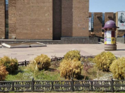 Алексей Логвиненко похвалил Кушнарева за чистый Ростов