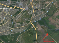 Под Ростовом в лесополосе нашли тело девушки 