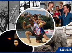 Ловим хрупкие «Нити», кормим белых носорогов и смотрим «Портрет»: куда пойти в Ростове на этой неделе