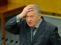 Жириновский раскритиковал выборы в Ростовской области 