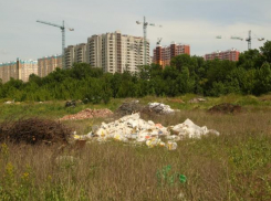 В районе Левенцовки в Ростове нашли новую огромную свалку