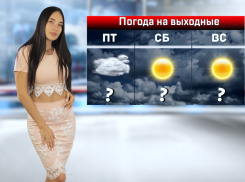 Жара до +37 градусов вернется в Ростовскую область в последние выходные лета