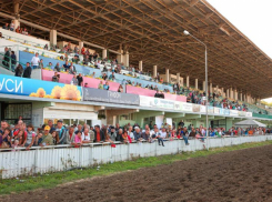 Прокуратура Ростовской области выявила нарушения при отказе признать ростовский ипподром ОКН