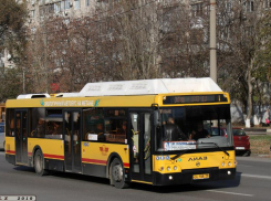 В Ростове перевозчик выпускал на маршруты легковушки под видом автобусов