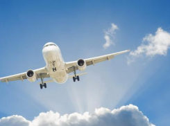 Причину 11-часовой задержки рейса на Москву назвали в Ростове