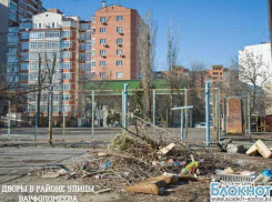 Не справляясь с уборкой мусора, чиновники призвали ростовчан взять метлы  