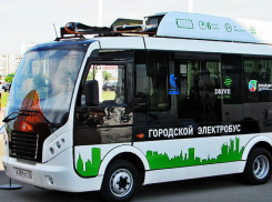 Новый девятый микрорайон и закупку электробусов пообещали Ростову