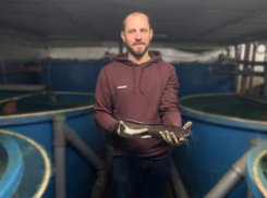 На африканских сомах калужанин зарабатывает 6 миллионов в год