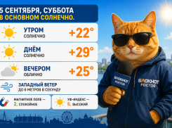 В Ростове столбики термометров поднимутся до +29 градусов