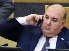 Экс-депутат Госдумы от Ростовской области Юрий Напсо незаконно завладел землёй под Сочи