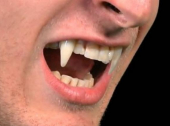 Вампиром захотел стать молодой житель Ростовской области