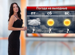 На выходных в Ростовской области ожидается жара и грозы