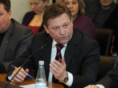 Власти Ростова потребовали от депутата гордумы вернуть землю