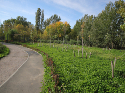 В Ростове разработают концепцию создания непрерывного линейного экопарка вдоль реки Темерник