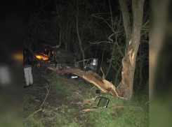 На трассе в Ростовской области в ДТП погиб водитель микроавтобуса