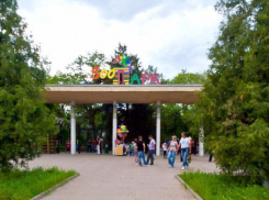 Дирекция ростовского зоопарка поделилась планами на будущее 