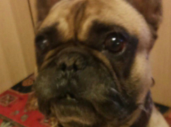 Симпатичный малыш с большими грустными глазами заблудился у торгового центра Ростова