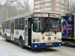 Видеорегистраторы с двойным обзором появятся в общественном транспорте Ростова в 2017 году