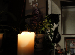 В июне 16 тысяч жителей Ростовской области рискуют остаться без электроэнергии