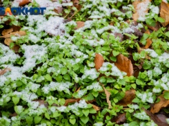 На этой неделе в Ростове ожидается дождь со снегом, сильный ветер и гололед