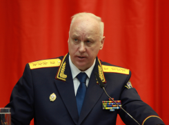 Бастрыкин поручил проверить действия полиции после жалобы женщины из Ростова на преследования мужа