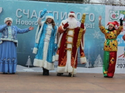  Потрясающее представление в исполнении символа 2017 года увидят ростовчане на Рождество