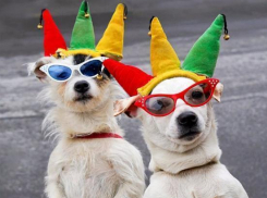 Календарь: День смеха 