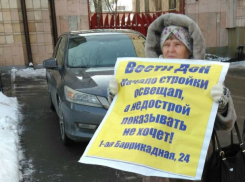 Доведенную до отчаяния обманутую дольщицу закрыли от губернатора широкими спинами полиции