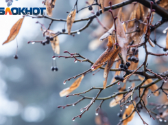 В воскресенье в Ростове ожидается снег и гололед