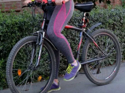 Длиннорукий «спайдермен» умыкнул велосипед из-за забора частного дома в Ростове