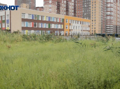 В Ростовской области продажи препаратов против аллергии выросли на 20%