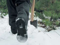 За спиленные елки задержали двоих дончан