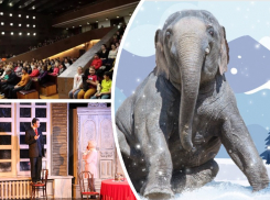 Ростовчан приглашают незабываемо отметить День матери и «Слоноуин»