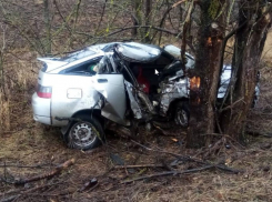 Влетевший в дерево автомобиль унес жизни двоих молодых людей в Ростовской области