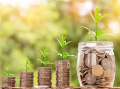 На докапитализацию бизнеса Дона направили 340 млн рублей