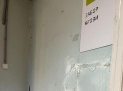 В Ростове закрыли лабораторию, где в жутких условиях малыши сдавали кровь