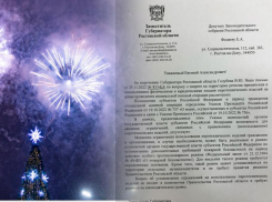Власти Ростовской области не стали запрещать новогодние фейерверки