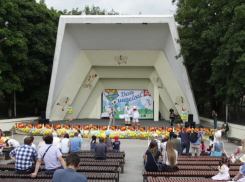 Гигантский шашлык из индейки приготовят в Ростове