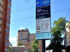 Власти Ростова готовы протестировать работу платных парковок