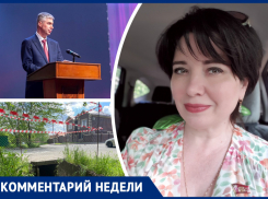 «Голову напекло»: депутат Наталья Оськина — об инициативе Логвиненко отлавливать ростовчан попавших в потоки воды