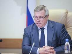 Василия Голубева признали «устойчивым губернатором»