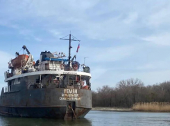 Завершено расследование загрязнения Дона в Семикаракорском районе 