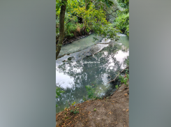 Загрязнение сточными водами в ростовском парке подтвердило Минприроды