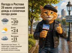 Погода в Ростове 29 июля: утренний дождь и солнечная погода днем