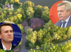 Василий Голубев стал объектом расследования Навального