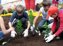 Растения из романа «Тихий Дон» высадят в станице Вёшенской