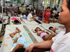 Об эпидемии смертельной желтой лихорадки в Бразилии предупредили туристов из Ростова