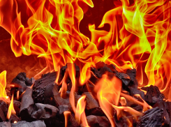 Следком выяснит причины гибели семьи на пожаре в Ростовской области